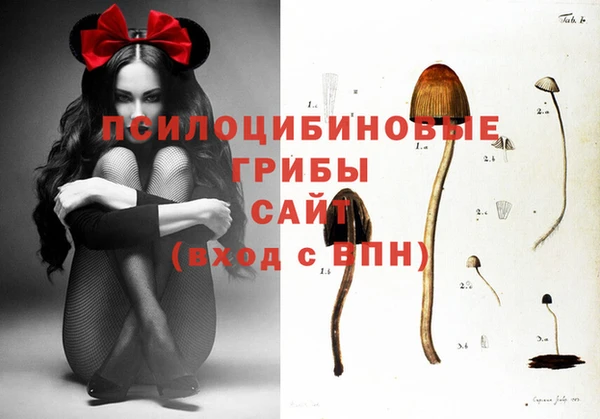 кокаин премиум Козельск