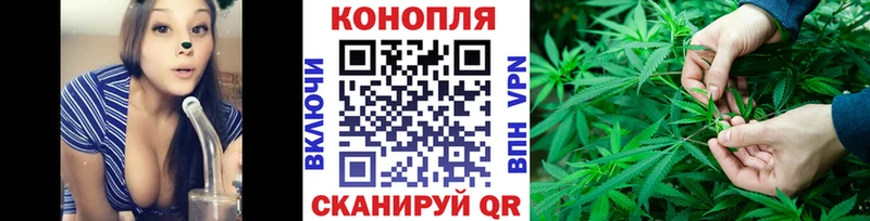 Шишки марихуана сатива  Купить закладки  Инсар 